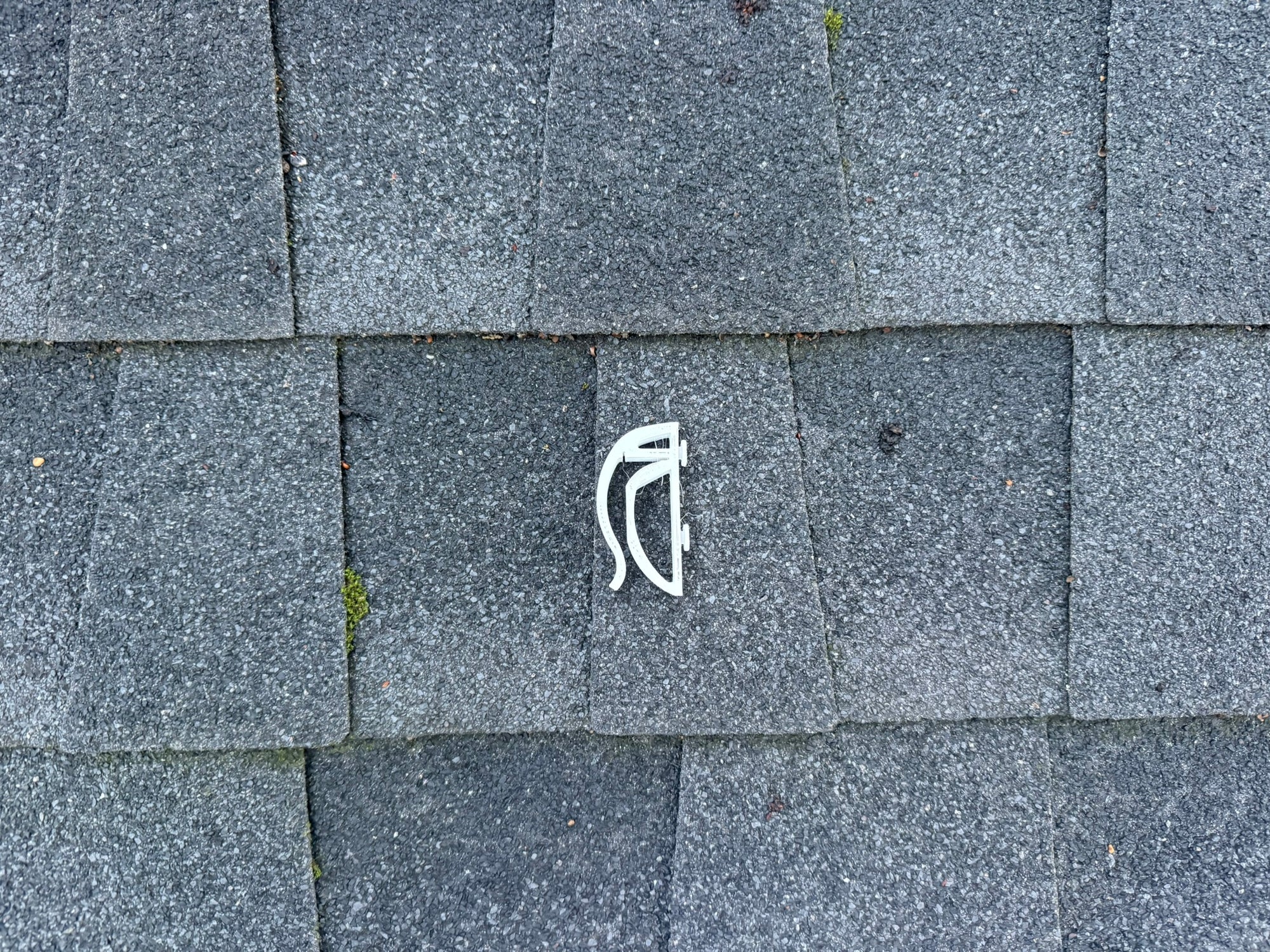 Founders Sample — Limited Run